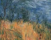 文森特 威廉 梵高 : 一个有罂粟花的麦田边缘